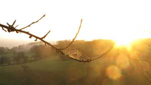 New Year at The Barn at The Sharpham Trust