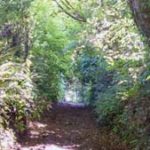 teacher led mindfulness retreat at The Sharpham Trust