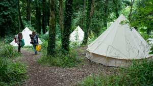 Woodland Retreat: Nature Connection (3 nights)