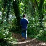 Woodland meditation retreats at The Sharpham Trust