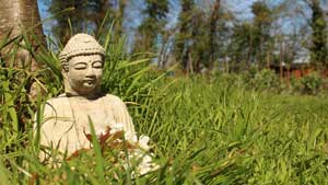 Introduction to Buddhism: 6-night retreat at The Barn