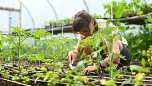 Mindful Gardening: a 4-night retreat at The Coach House