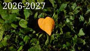 The Barn: Loving-Kindness (Metta) 6 night Dharma Pathway retreat