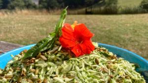 Sharpham House: Moments to Savour (4 nights)