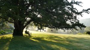 Mindfulness for Anxiety & Low Mood: 4-night retreat at The Coach House